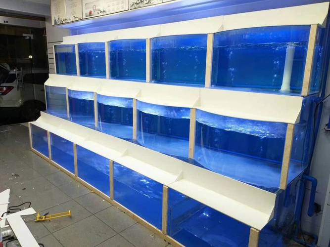 餐饮生鲜 鲜活水产品 鲜活鱼类 番禺海鲜池工厂/广州小型海鲜池效果图